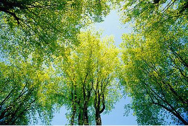 俯视角射击塔防游戏《Obliterator-X》Steam页面 内发售